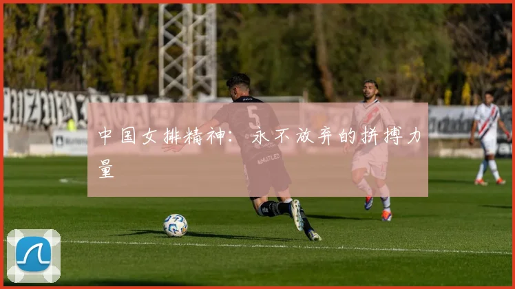 中国女排精神：永不放弃的拼搏力量