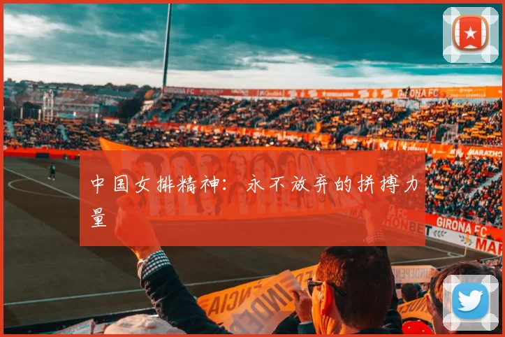 中国女排精神:永不放弃的拼搏力量